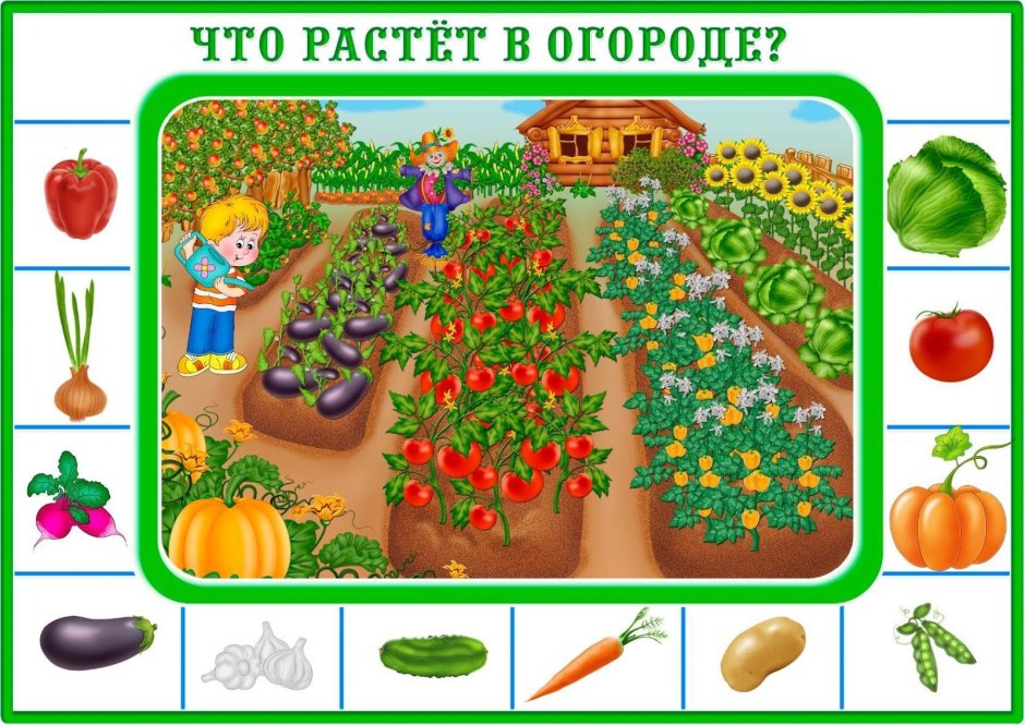 Огород с овощами для детей