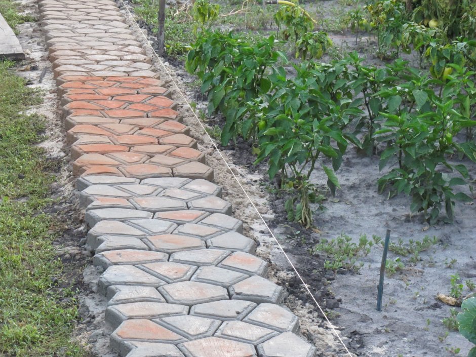 Огород с бетонными дорожками
