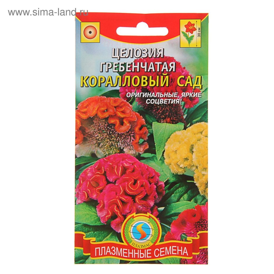 ПЦ/целозия гребенчатая коралловый сад 0,1гр