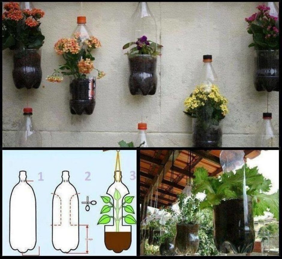 Пластиковые бутылки в огороде