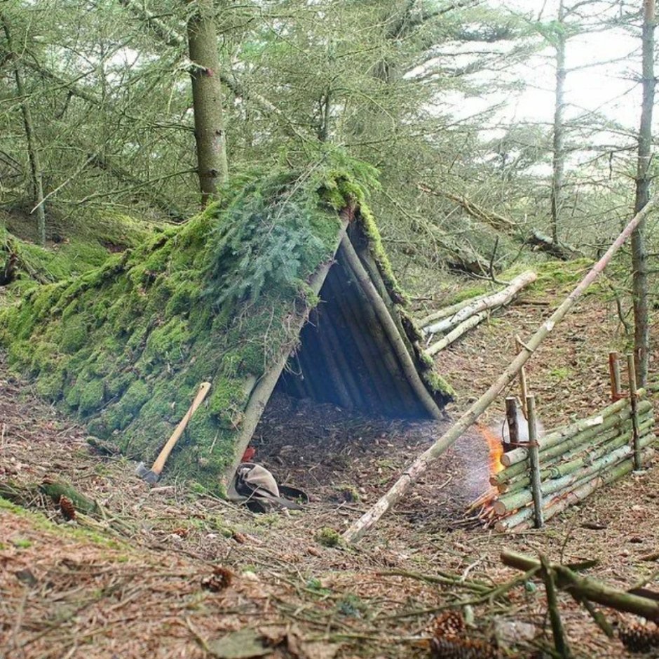 Временное жилище в лесу