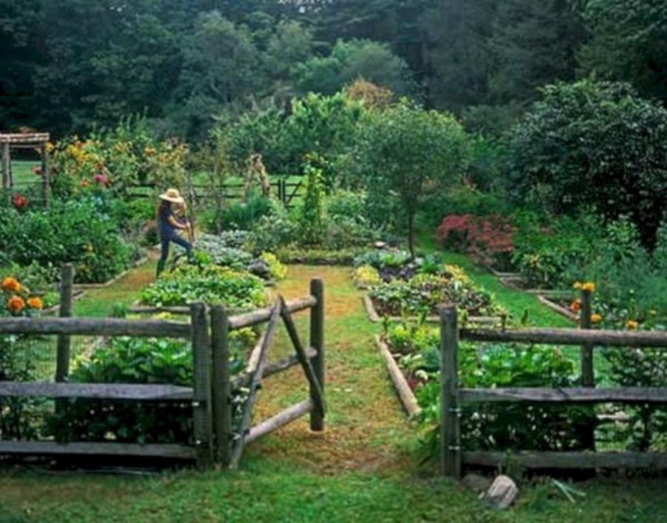 Пермакультурный сад Франция