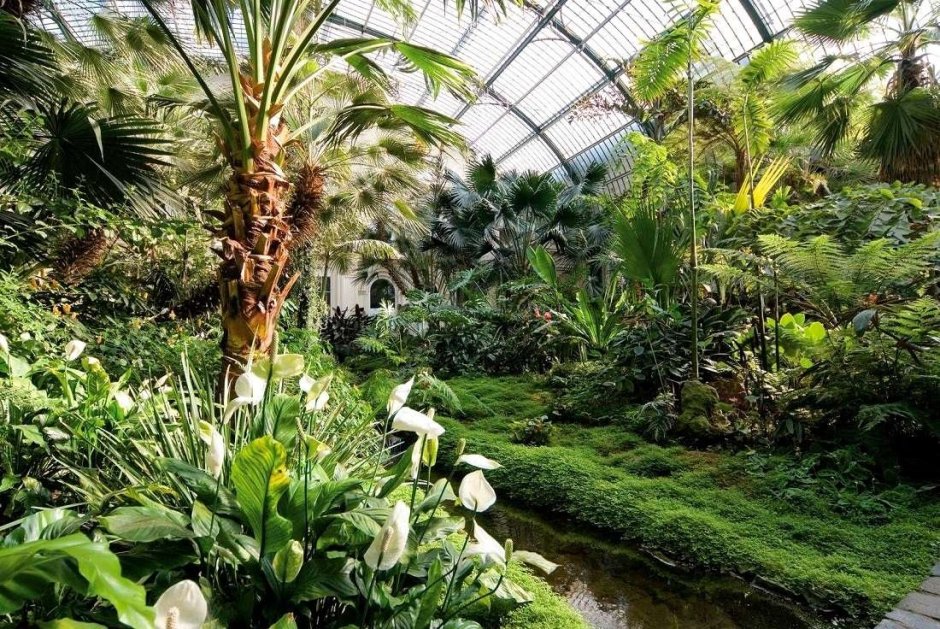 Palmengarten Ботанический сад «Пальменгартен»