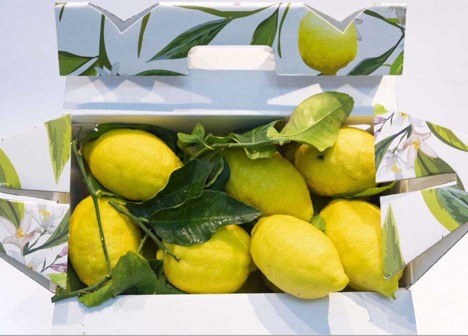 Позитано Италия лимоны