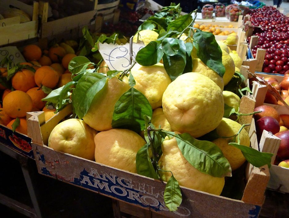 Lemon Tree Amalfi