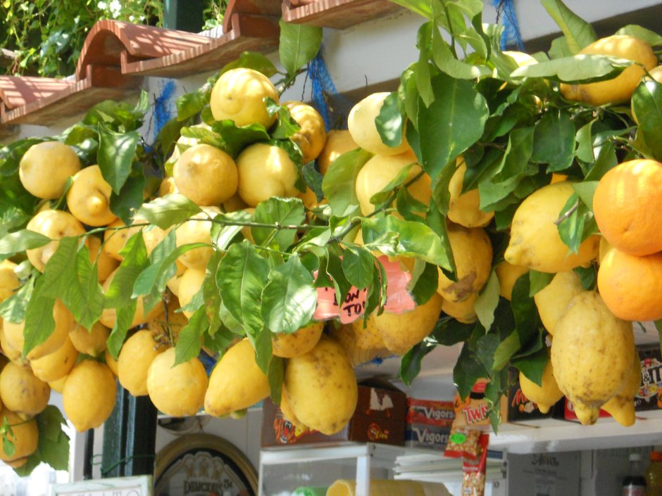 Италия побережье Амальфи лимоны