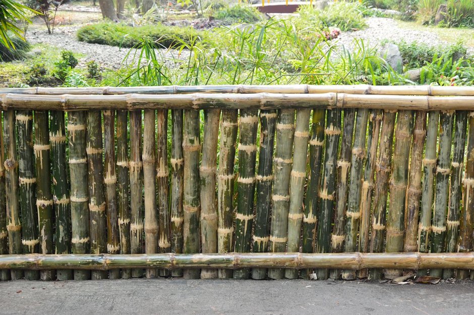 Ограждение из бамбука