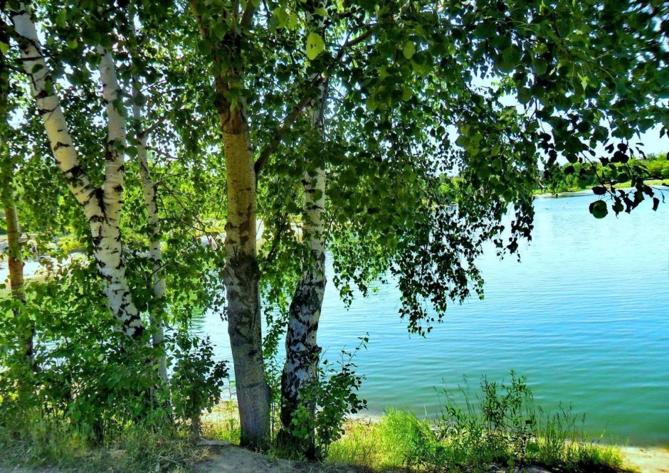 Озеро Березки Самара