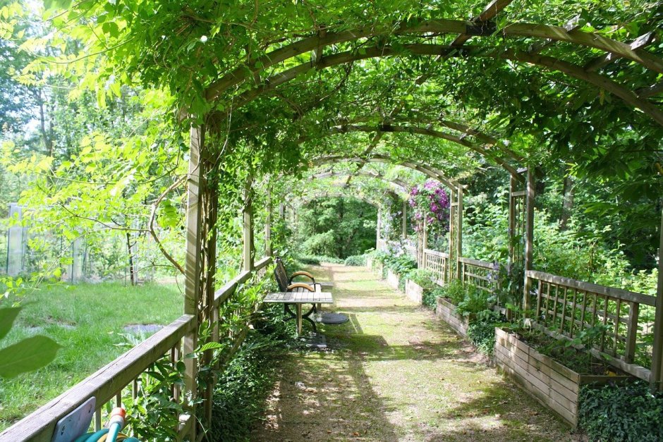 Сады Англия арки