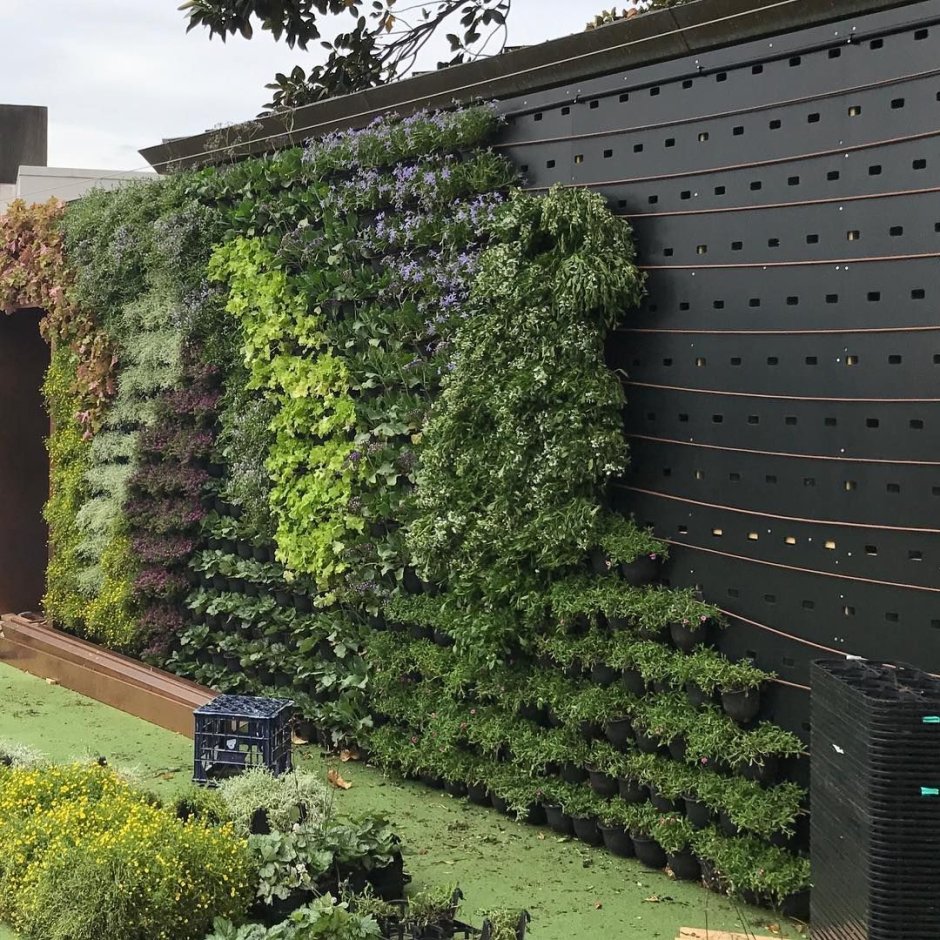 Брандмауэрная стена вертикальное Озеленение