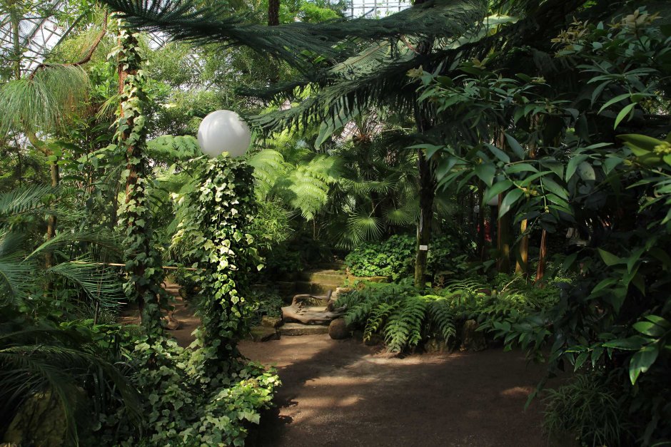 Ботанический парк Батуми