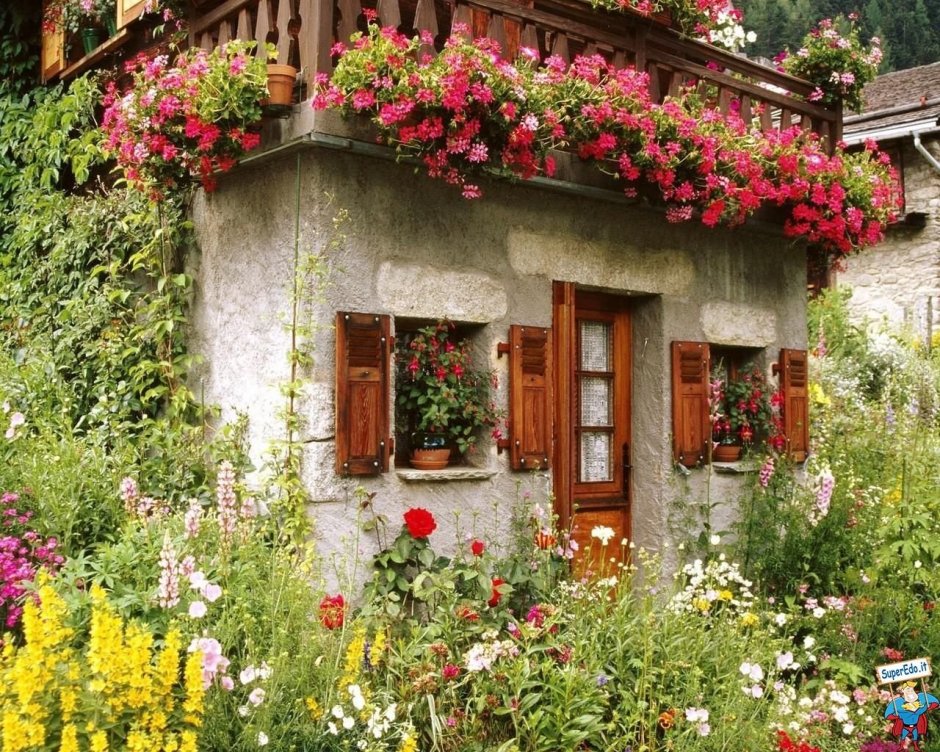 Уютный домик в цветах