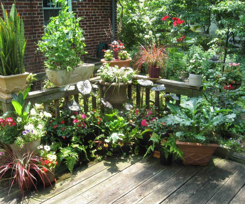 Контейнерное Садоводство на балконе