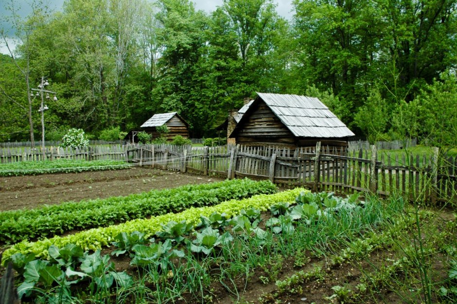 Деревенский дом с огородом
