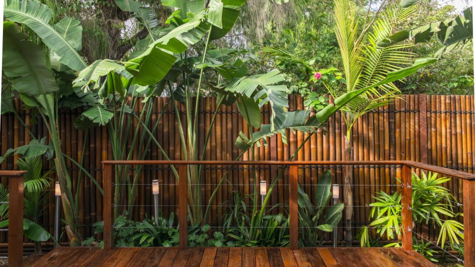 Бамбуковый забор в саду