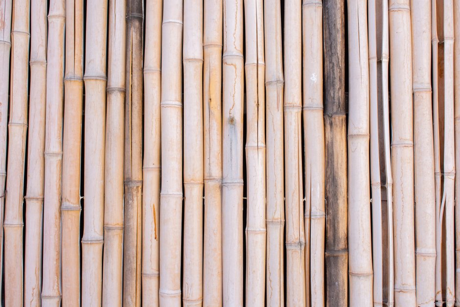 Тростник бамбук акведук