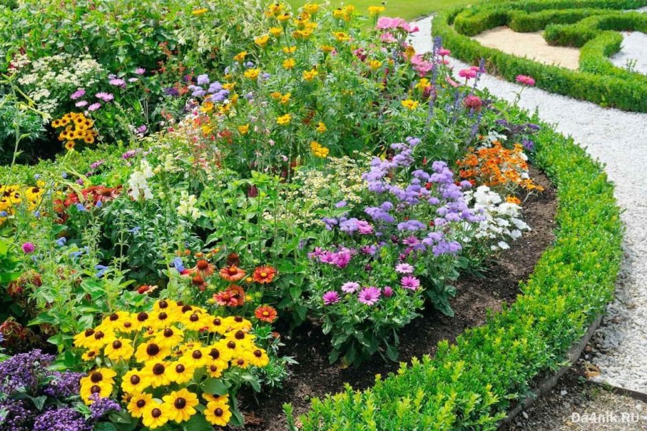 Весенние цветы в саду и огороде