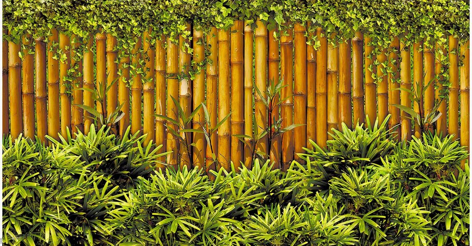 Изгородь из бамбука
