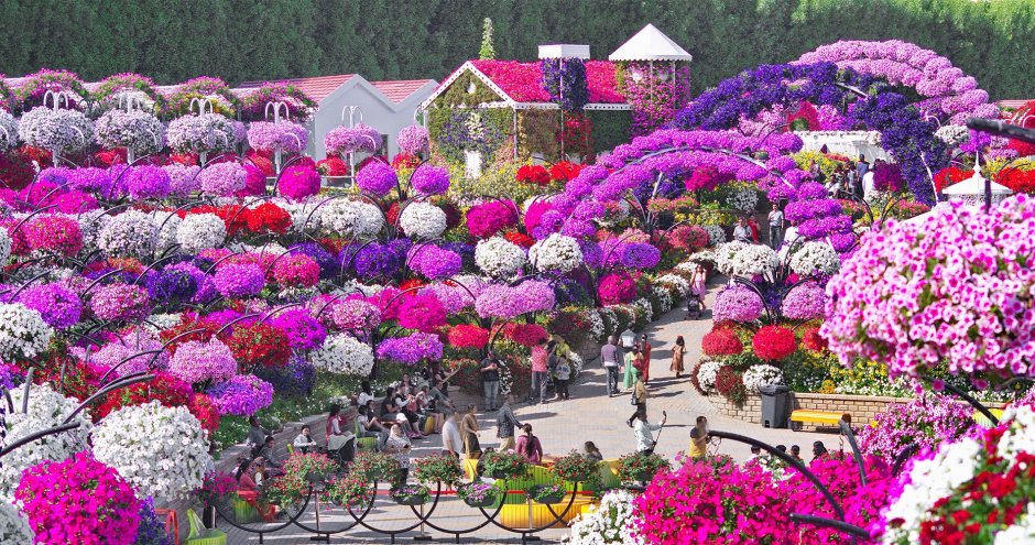 Цветочный сад в Дубае Миракл