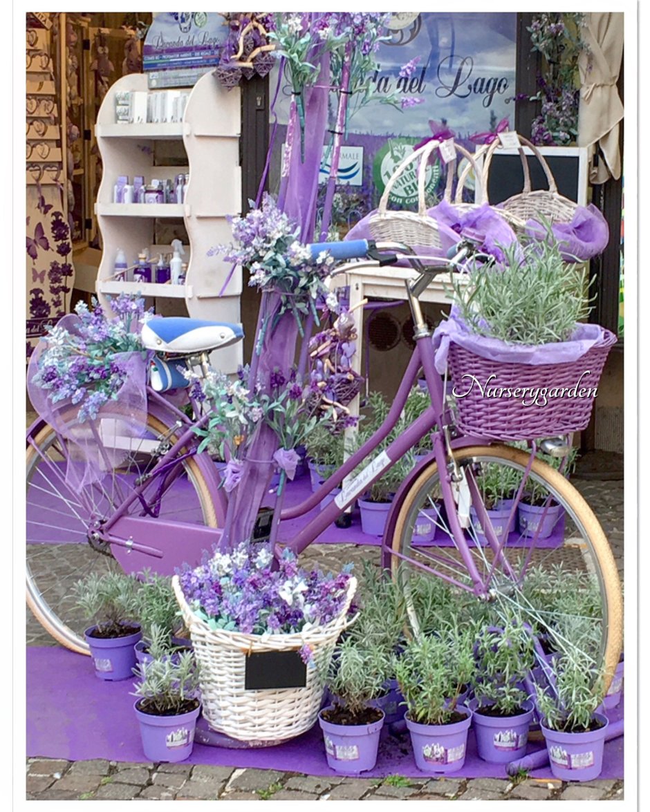 Магазин цветов в лавандовом стиле