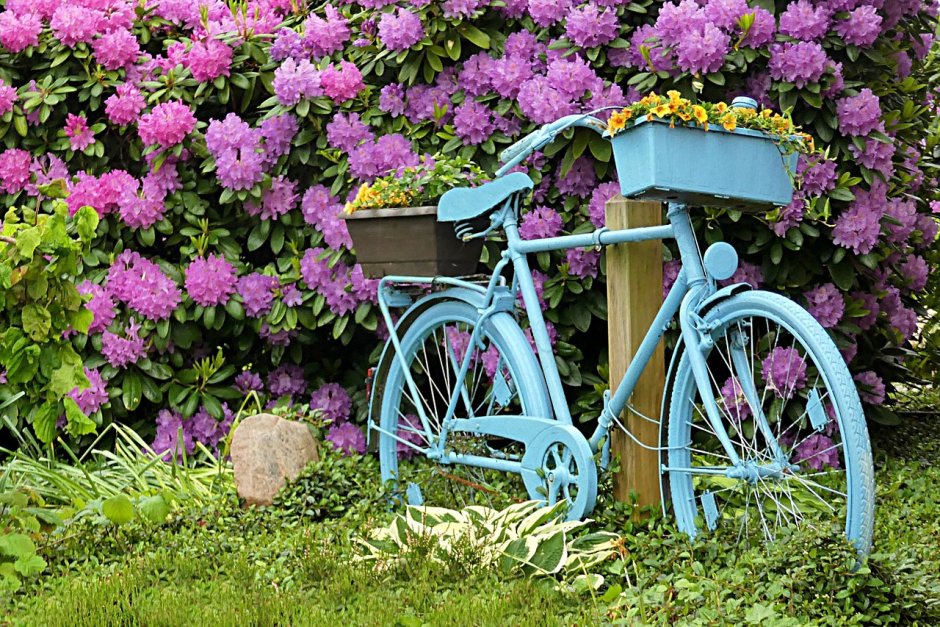 Велосипед с цветами