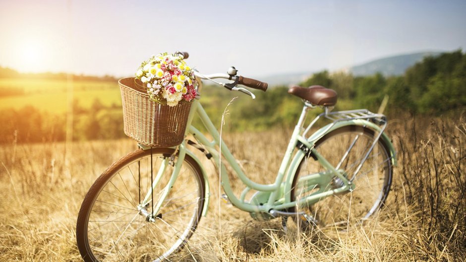 Велосипеды цветы природа