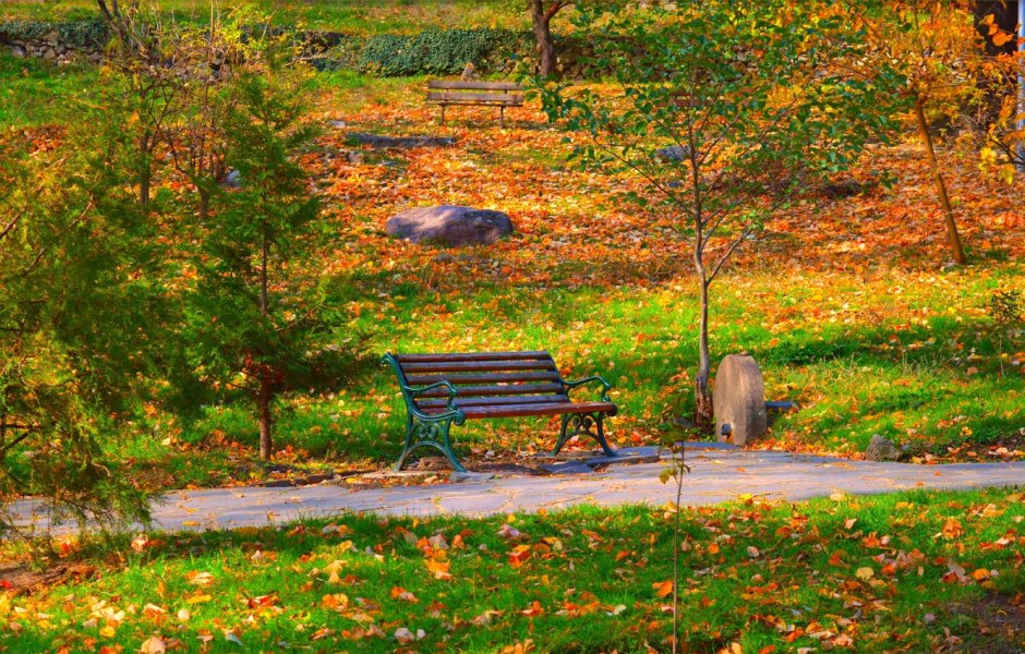 Осенний сад скамейка