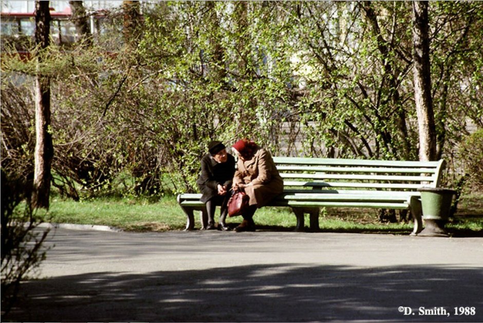 Человек сидит на лавочке в парке