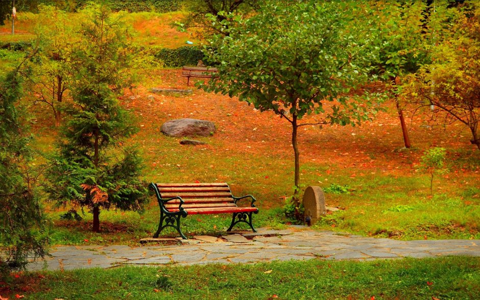 Осень парк сидящий человек на скамейке