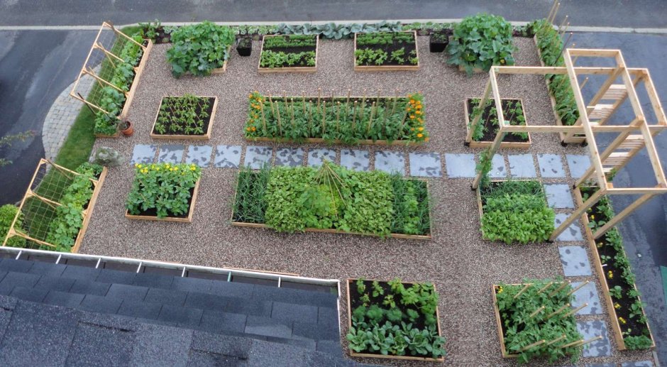 Rules of planning of Kitchen Garden