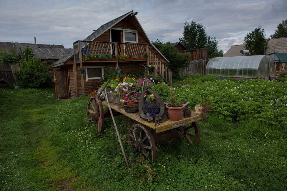 Деревенский домик с огородом