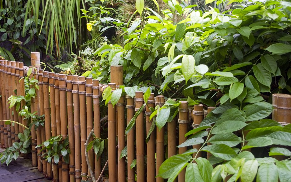 Изгородь декоративная из бамбука на даче