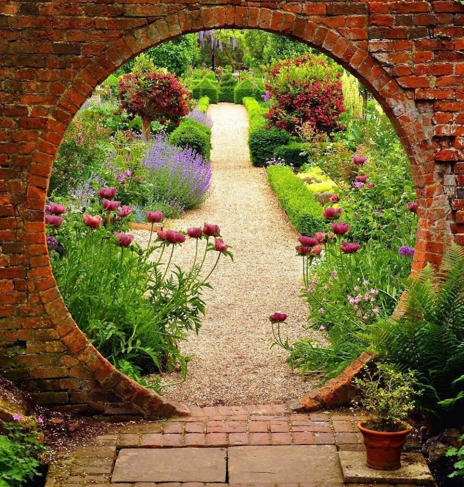 Красивые арки в саду