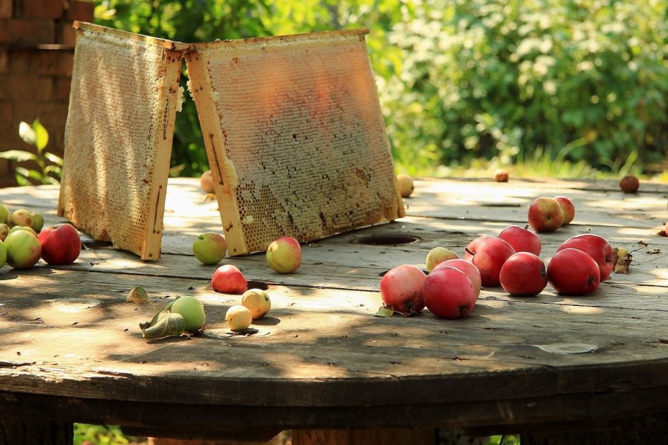Яблоки в деревне