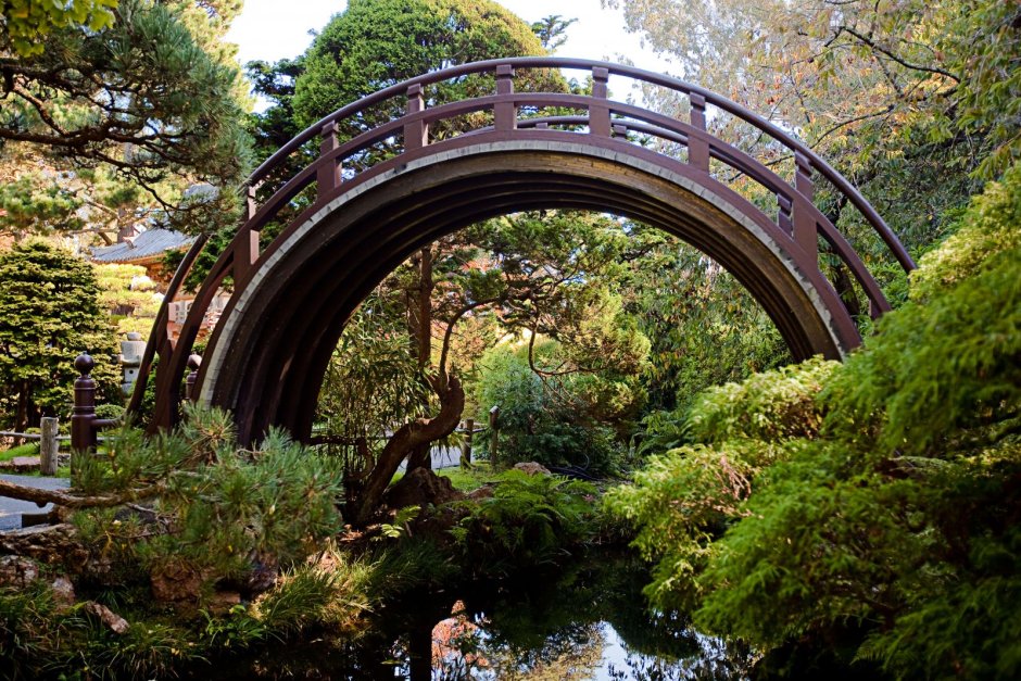 Мостик саду Япония