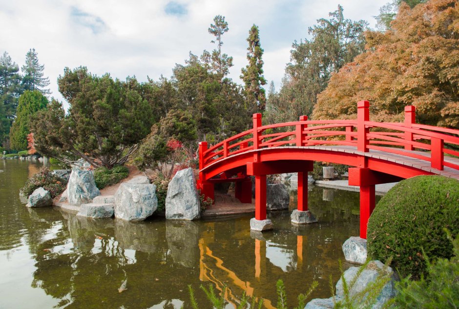 Японский сад мостки