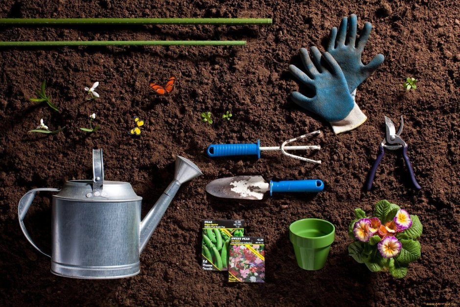 Инструменты для посадки растений