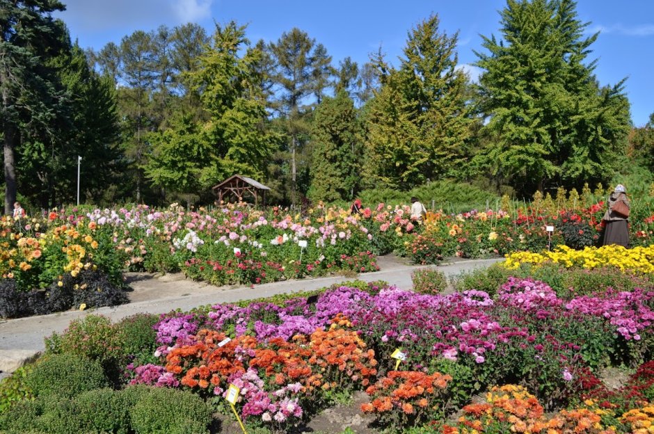 Ботанический сад Тюмень