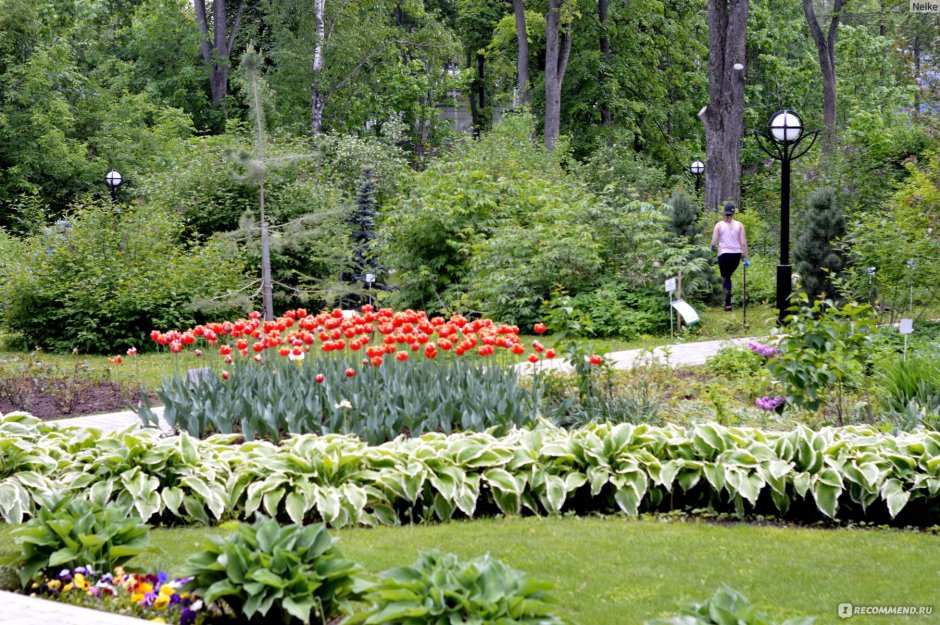 Город Киров Ботанический сад