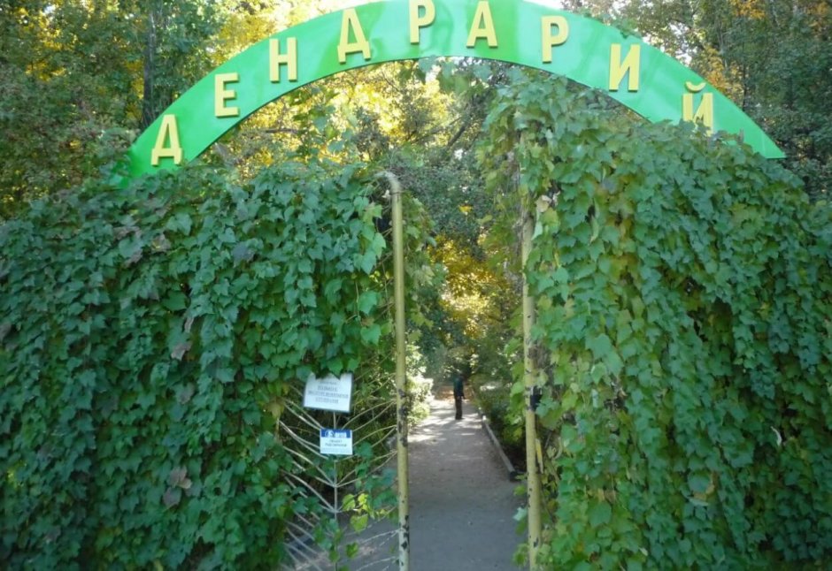 Дендрологический парк Красноармейский район Волгоград