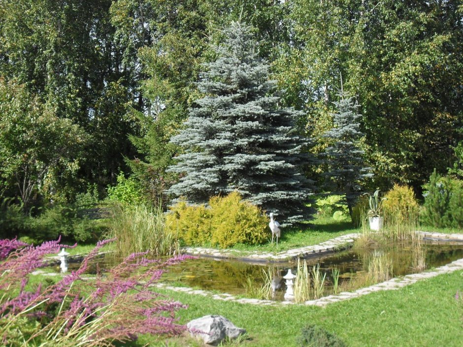 Ботанический сад Демидова Соликамск