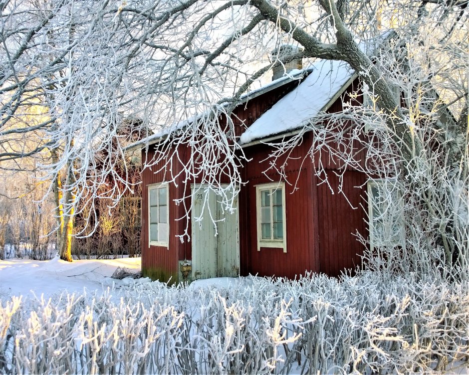 Зимой дом с садом
