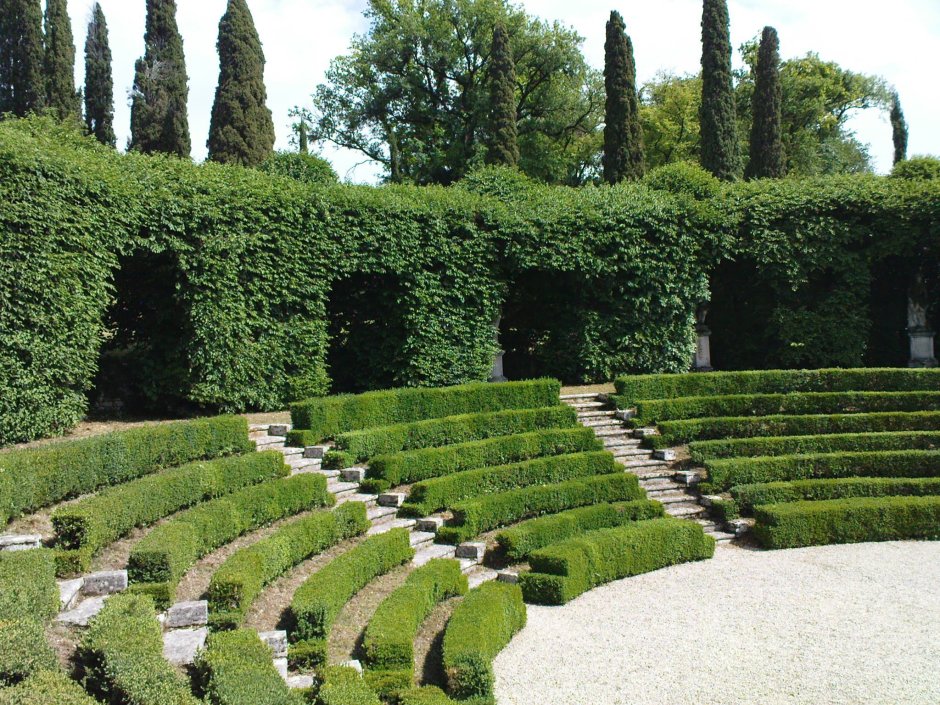 Сады Италии самшит