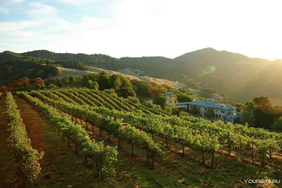 Долина Напа Калифорния поместья на винограднике