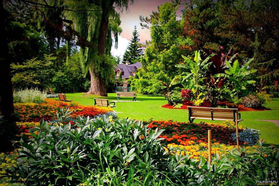 Риджентс парк сад королевы Марии
