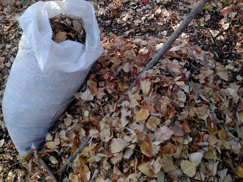 Мусорные мешки с листьями