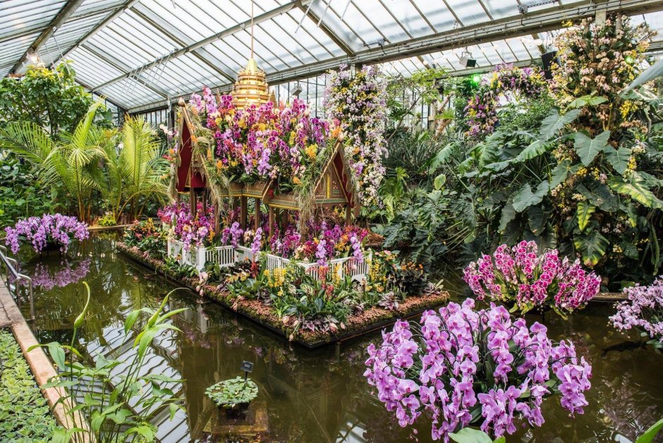 Королевские Ботанические сады Кью Лондон