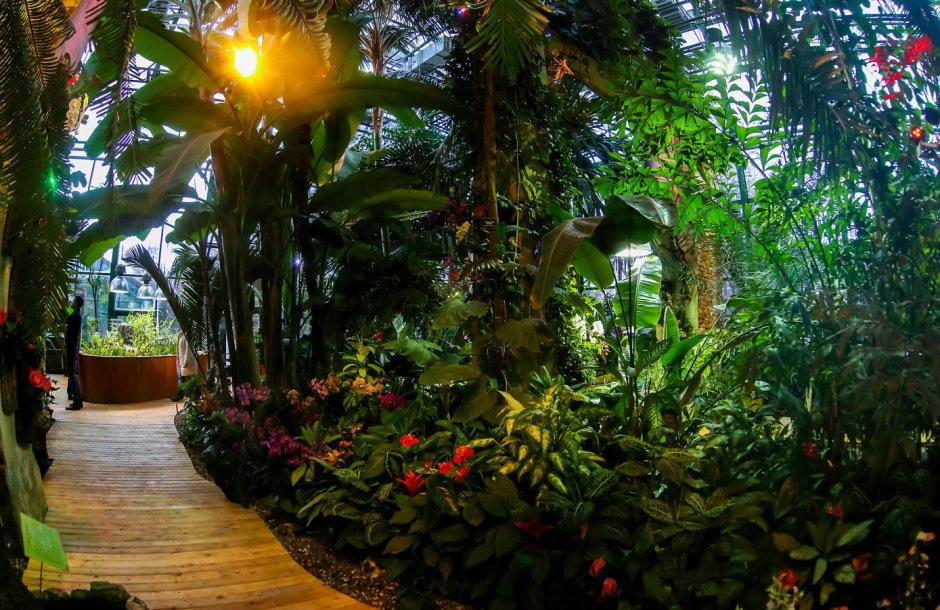 Аптекарский огород Тропическая оранжерея