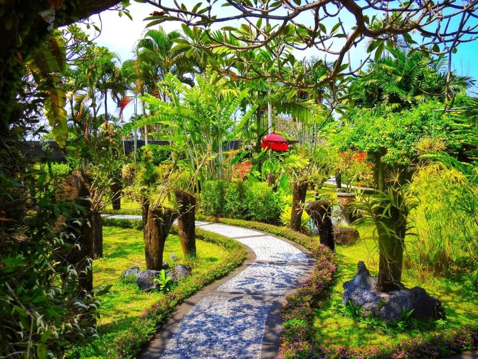 Ботанический сад с орхидеями на Бали
