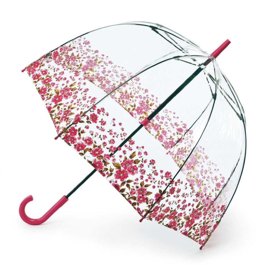 Fulton зонт Floral